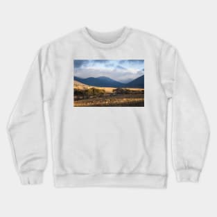 Stripes Of Light Crewneck Sweatshirt